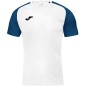 Joma Academy IV Sleeve football shirt 101968.203