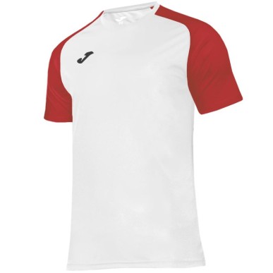 Joma Academy IV Sleeve maglia da calcio 101968.206