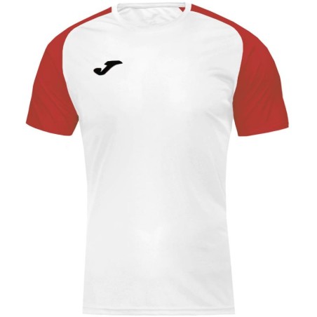 Joma Academy IV Sleeve maglia da calcio 101968.206