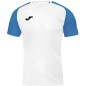 Joma Academy IV Sleeve maglia da calcio 101968.207