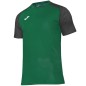 Joma Academy IV Sleeve maglia da calcio 101968.451