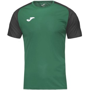 Joma Academy IV Sleeve maglia da calcio 101968.451