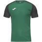 Joma Academy IV Sleeve maglia da calcio 101968.451