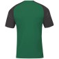 Joma Academy IV Sleeve maglia da calcio 101968.451