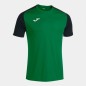 Joma Academy IV Sleeve maglia da calcio 101968.451