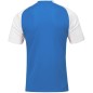 Joma Academy IV Sleeve football shirt 101968.702