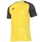 Joma Academy IV Sleeve maglia da calcio 101968.901