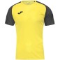 Joma Academy IV Sleeve maglia da calcio 101968.901