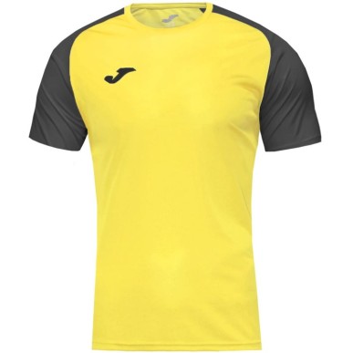 Joma Academy IV Sleeve maglia da calcio 101968.901