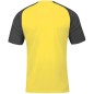 Joma Academy IV Sleeve maglia da calcio 101968.901