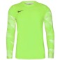 Maglietta Nike Dry Park IV JSY LS GK Jr CJ6072-702