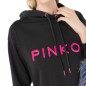 Pinko sweatshirt W 101685 A163