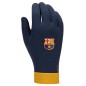 Guanti Nike FC Barcelona Academy Thermafit FJ4861-010