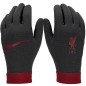 Guanti Nike Liverpool FC Thermafit HO23 FJ4857-010