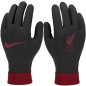 Guanti Nike Liverpool FC Thermafit HO23 Jr FQ4600-010