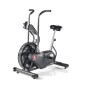 Bicicletta ad aria Schwinn Airdyne AD6i 100324