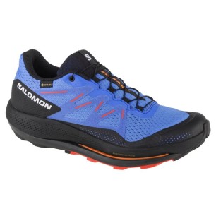 Scarpe da corsa Salomon Pulsar Trail GTX M 416080