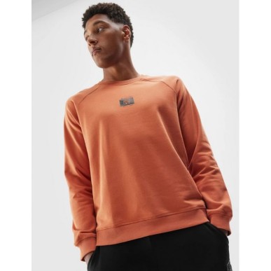 4F M 4FAW23TSWSM687-81S sweatshirt