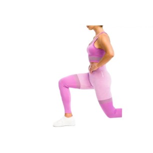 GymHero Leggings Stripes W MAUVE