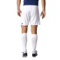 Adidas Tastigo 17 M BJ9127 football shorts