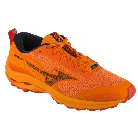 Mizuno Wave Rider GTX M J1GC227902 shoes