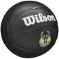 Wilson Team Tribute Milwaukee Bucks Mini Ball WZ4017606XB basket