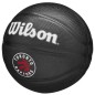 Wilson Team Tribute Toronto Raptors Mini Ball WZ4017608XB basket