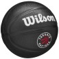 Wilson Team Tribute Toronto Raptors Mini Ball WZ4017608XB basketball