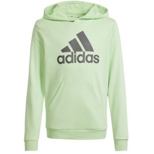 Adidas Big Logo Hoodie Jr IS2591 sweatshirt