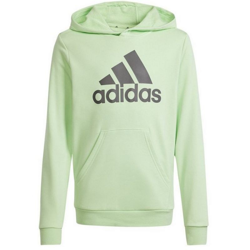 Adidas Big Logo Hoodie Jr IS2591 sweatshirt