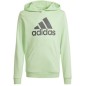 Felpa con cappuccio Adidas Big Logo Jr IS2591