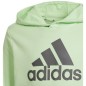 Felpa con cappuccio Adidas Big Logo Jr IS2591