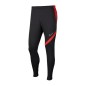 Pantaloni Nike Academy Pro Jr BV6944-067