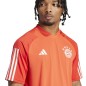 Adidas FC Bayern Training JSY M T-shirt IQ0608